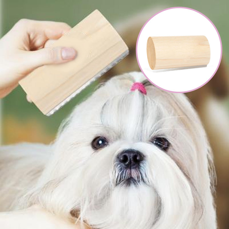 Cat Brush for Shedding