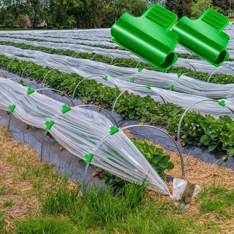 Kraftiga miniväxthusklämmor