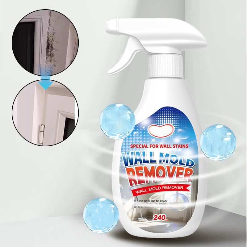 Mold Remover Spray for Walls