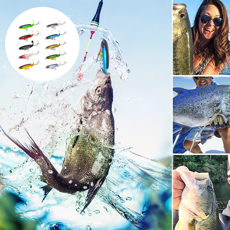 Artificial Fishing Lure (10pcs)