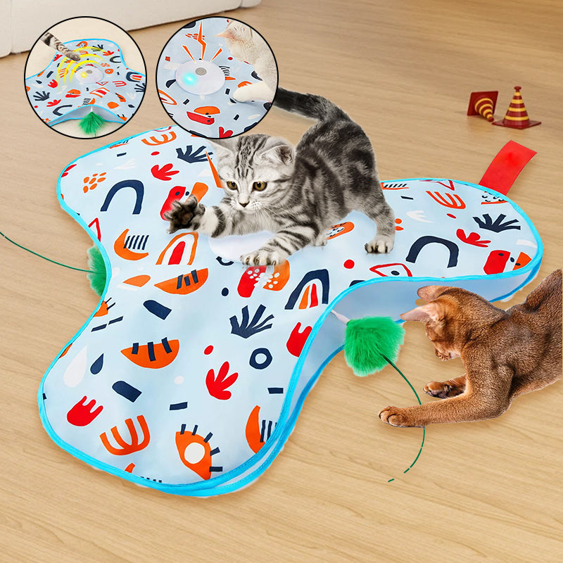 Hide and Seek Cat Toys