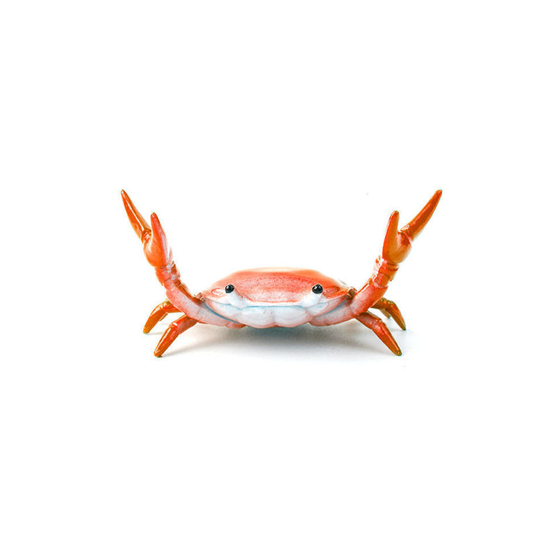 Realistic Crab Shaped Pen Holder