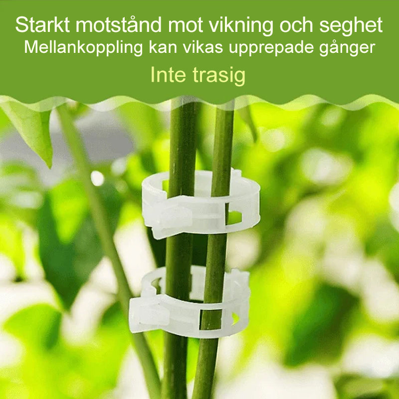 Plantstöd Klämmor