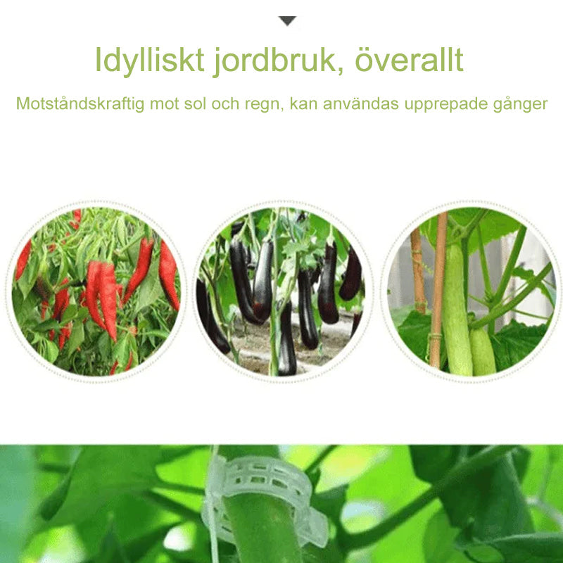 Plantstöd Klämmor