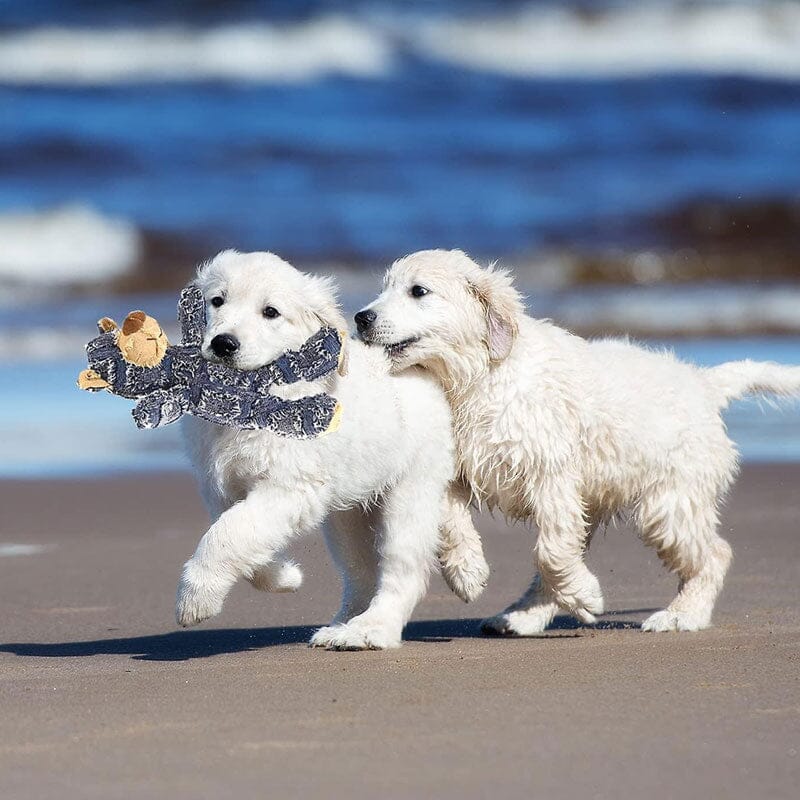 Oförstörbar robust björn