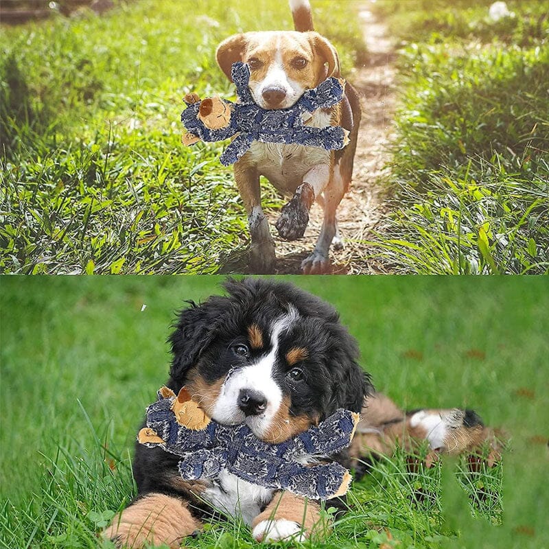 Oförstörbar robust björn