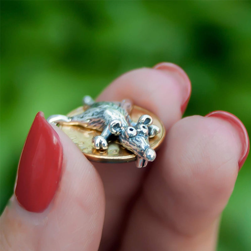 Muscharm Trolldom | Skydda din förmögenhet