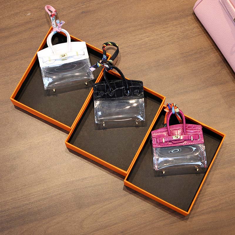 Trendy Mini Transparent Key Case