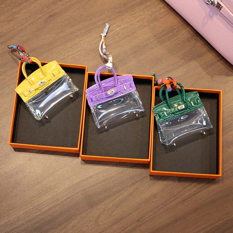 Trendy Mini Transparent Key Case