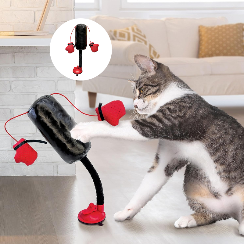 Cat Boxing Toy
