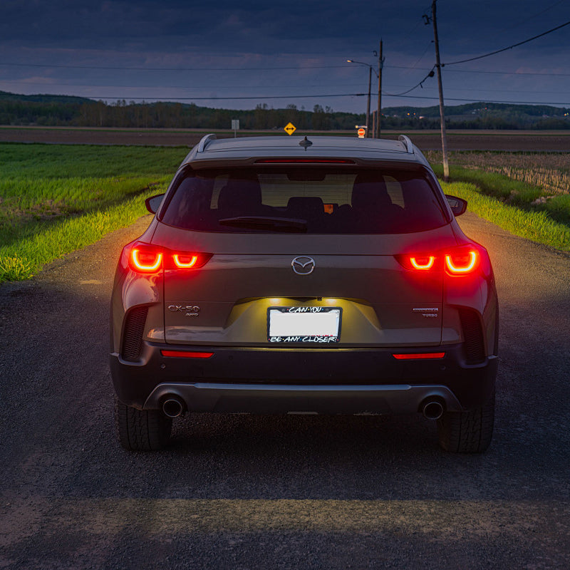 Funny Car License Plate Frame