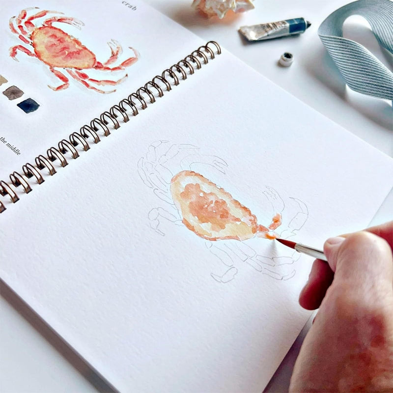 Watercolor Painting Book for Beginners
