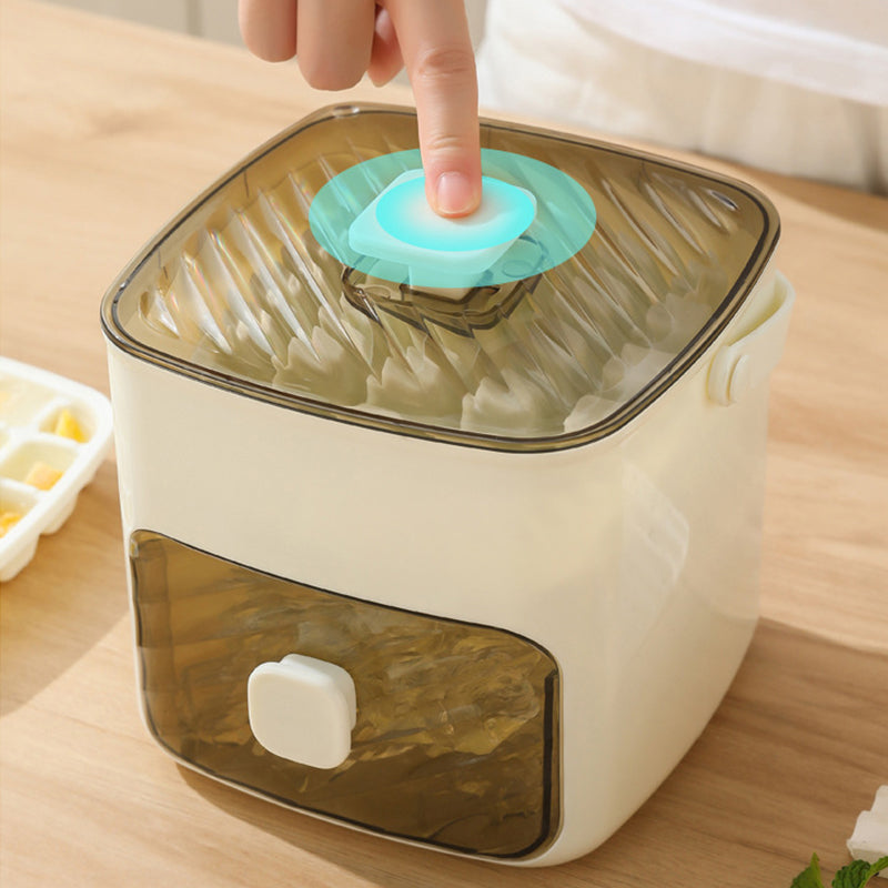 Handled Press-Type Ice Cube Tray (Double-Layer)