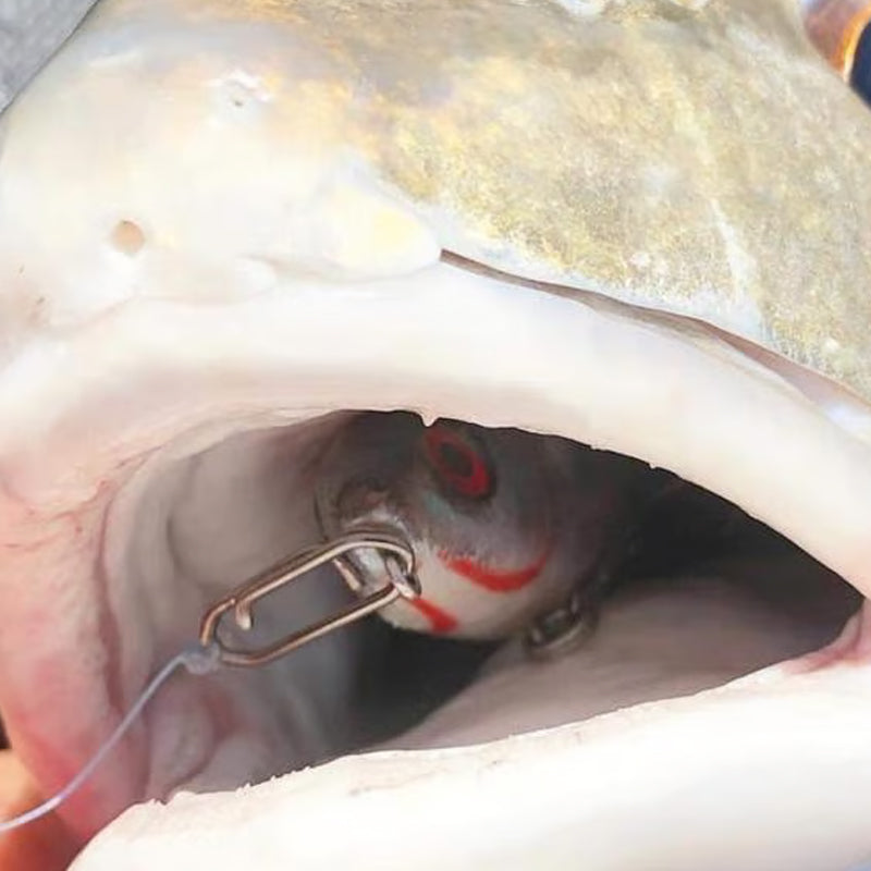 Fishing Speed Clip - 10 pcs