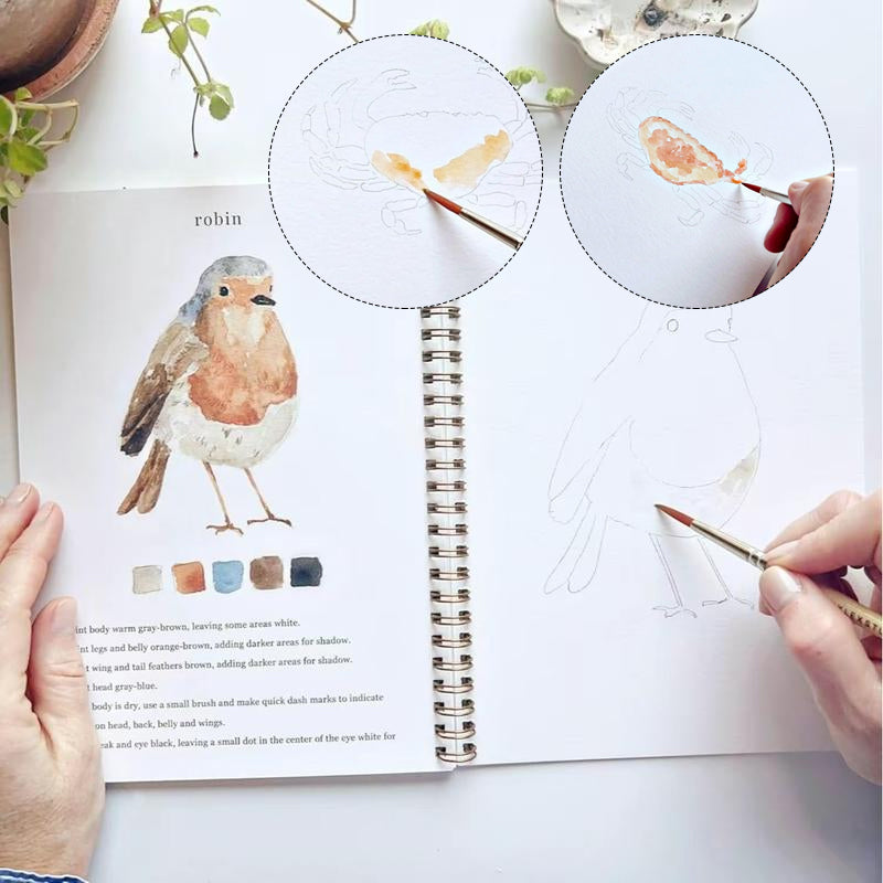 Watercolor Painting Book for Beginners