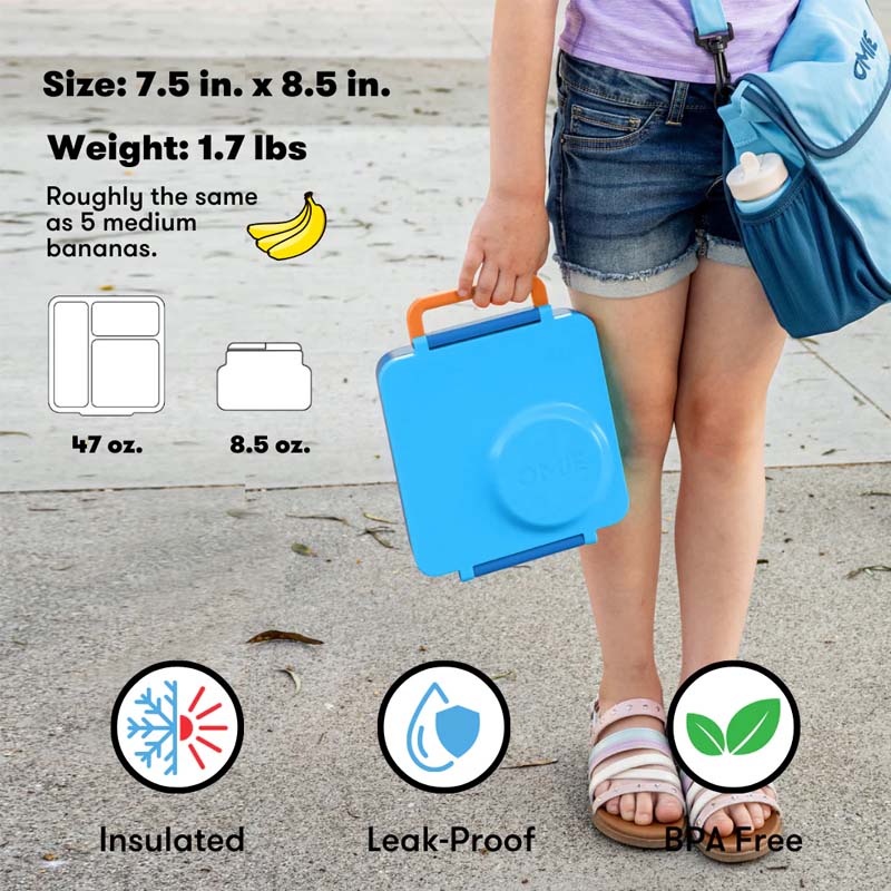 Insulated Bento Lunch Box with Thermos