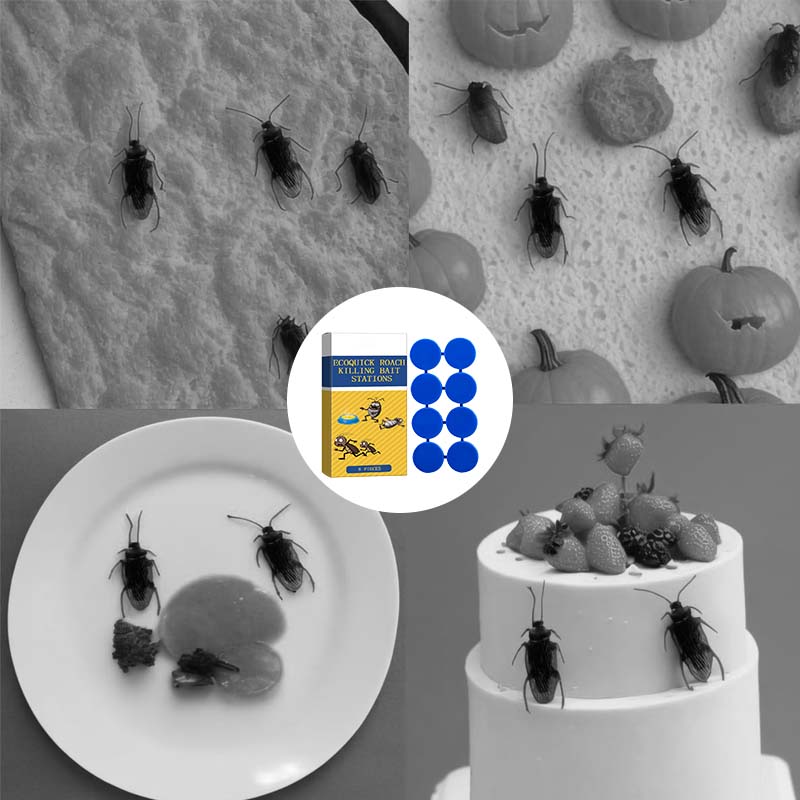 Effective Cockroach Bait Pads