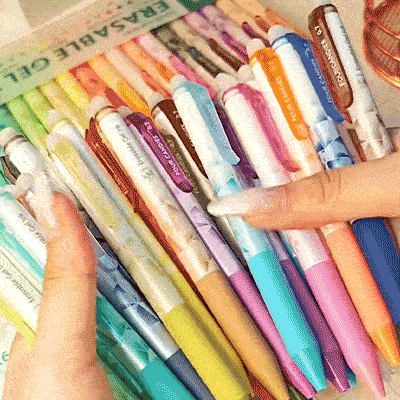 Retractable Erasable Gel Pen Set
