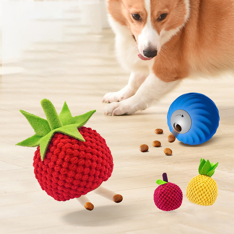 Interactive Treat Dispensing Ball