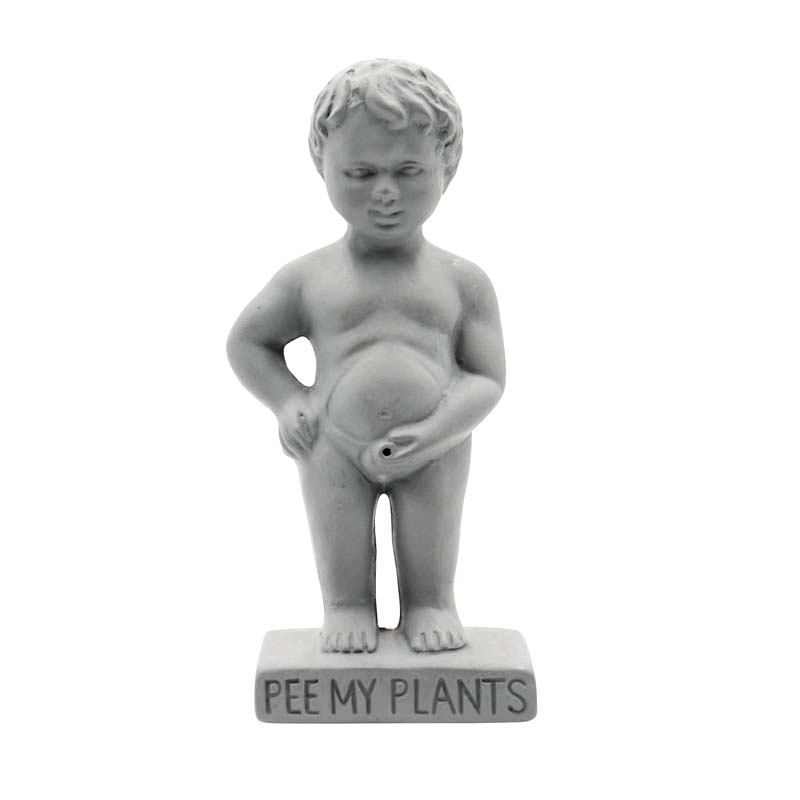 Kissande pojke Självbevattningsstake