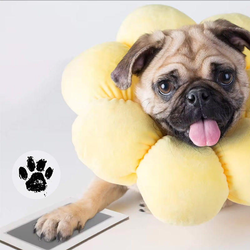 Pet Paw utskriftssats