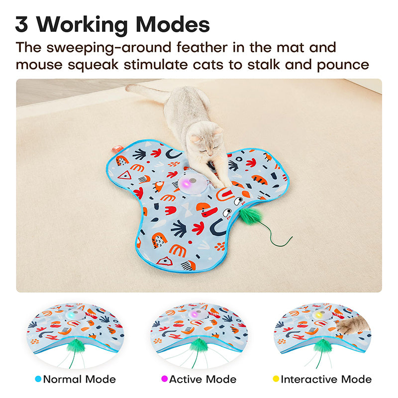 Hide and Seek Cat Toys