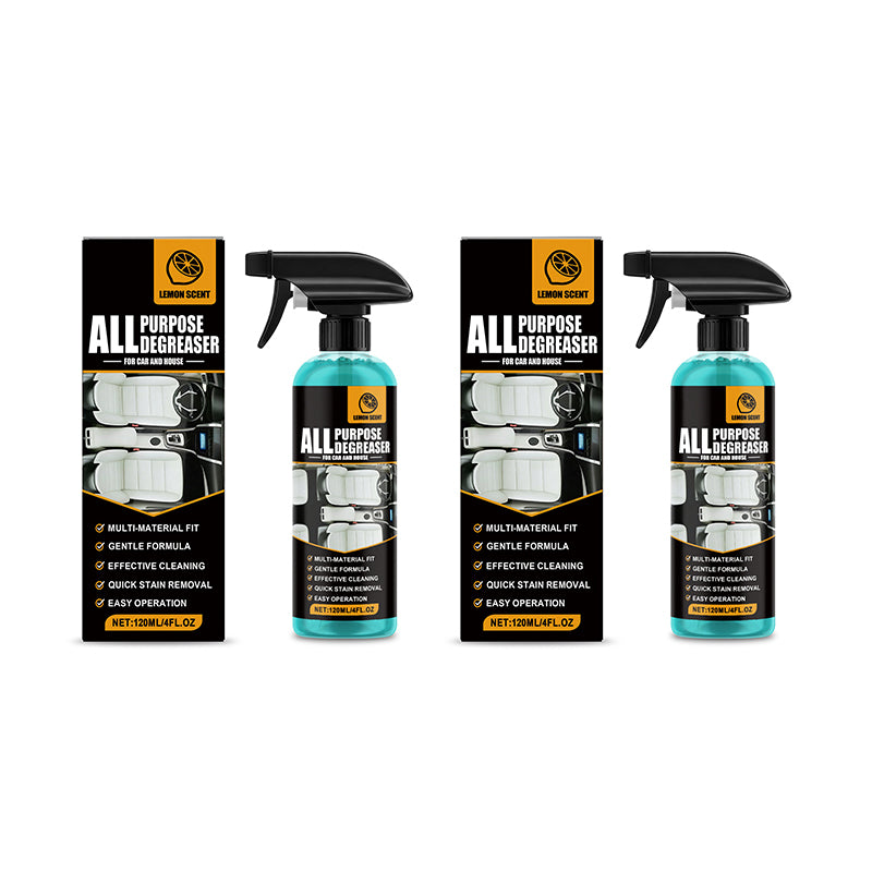 Instant Stain Removal for Car Interiors & Home Upholstery