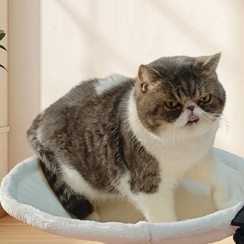 Desk-Side Companion Cat Hammock