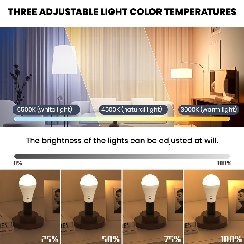 Rechargeable Emergency Light Bulbs
