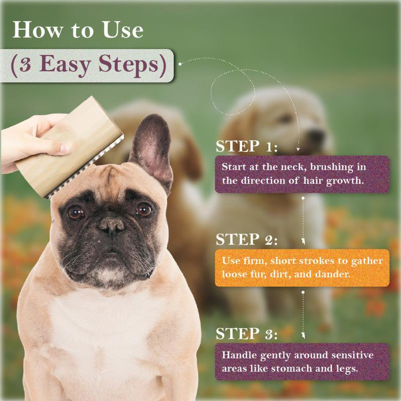 Cat Brush for Shedding