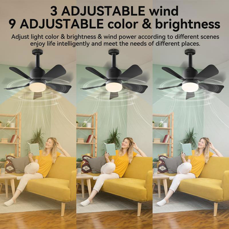 Portable Small Ceiling Fans with Lights