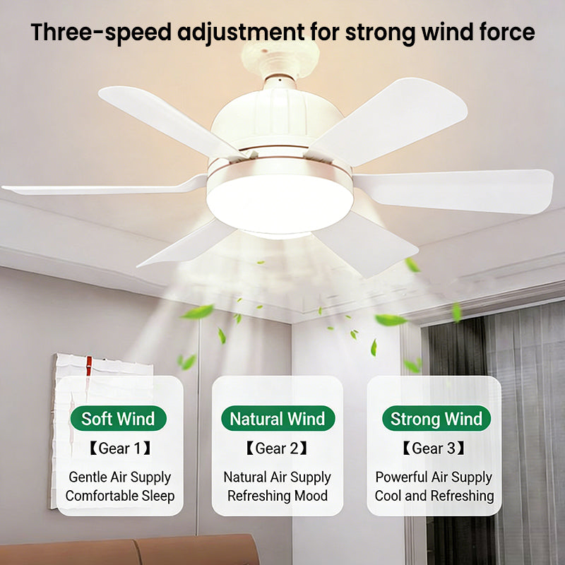 Ceiling Fan with LED Light