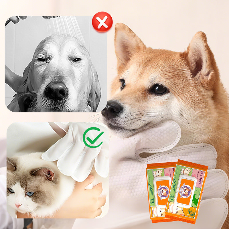 Pet Cleaning Glove Wipes