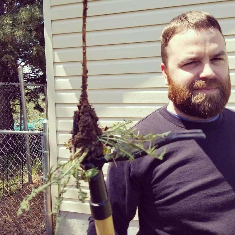 Stand Up Weed Puller Tool with Long Handle