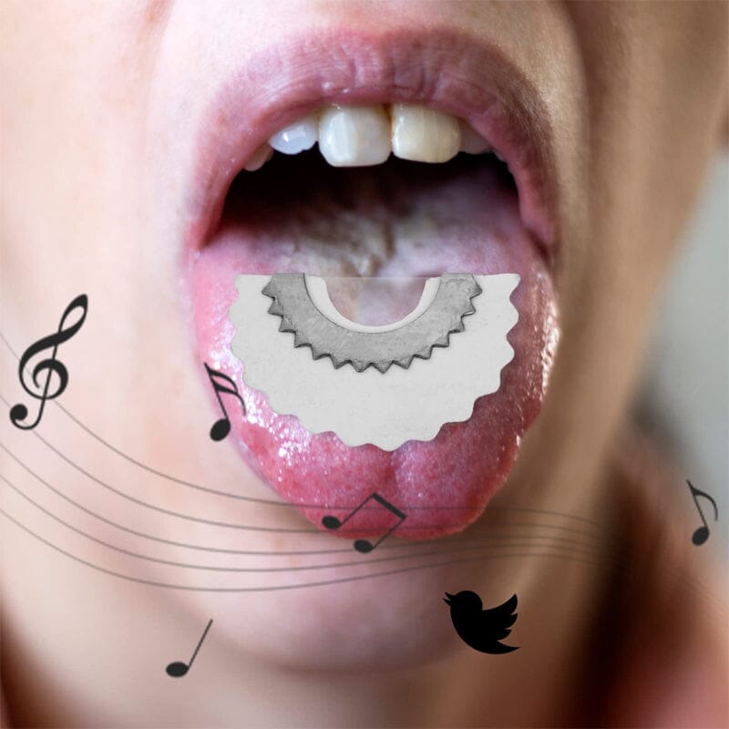 Fågel visselpipa Magisk leksak