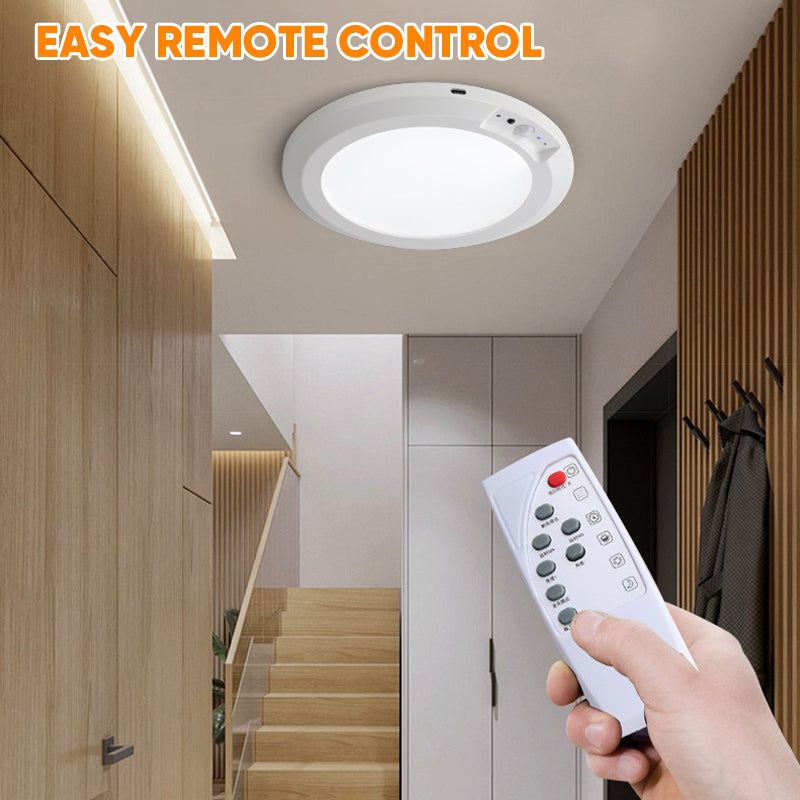Motion Sensor Ceiling Light