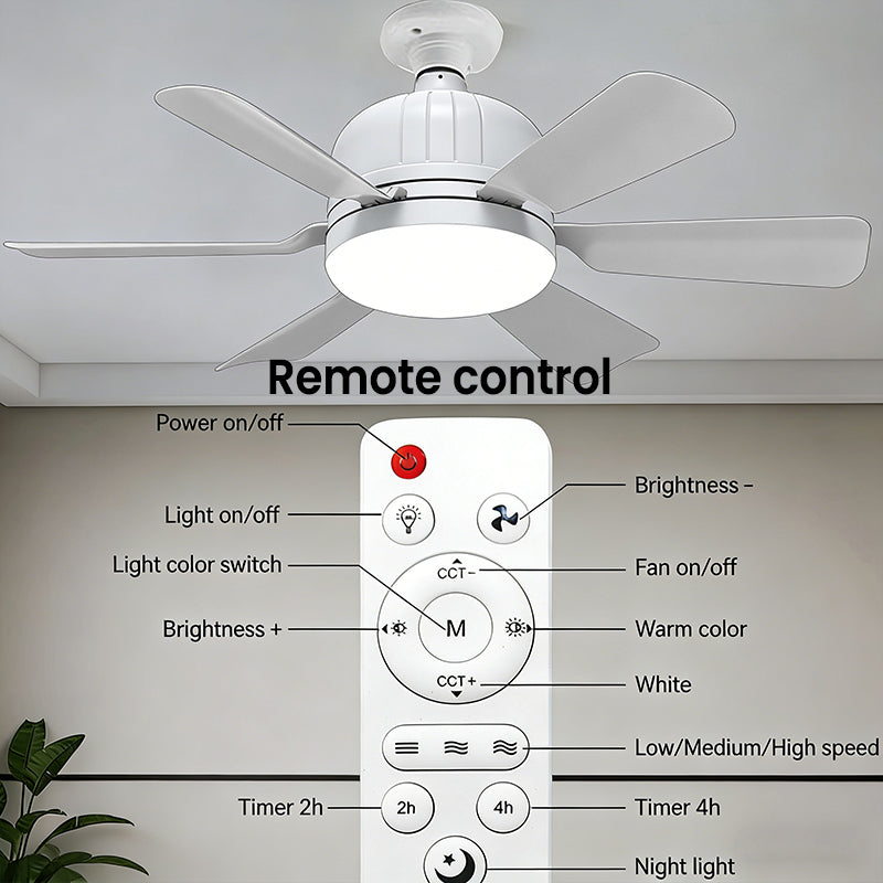Ceiling Fan with LED Light