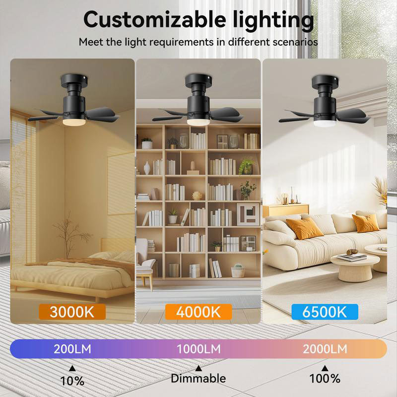 Portable Small Ceiling Fans with Lights