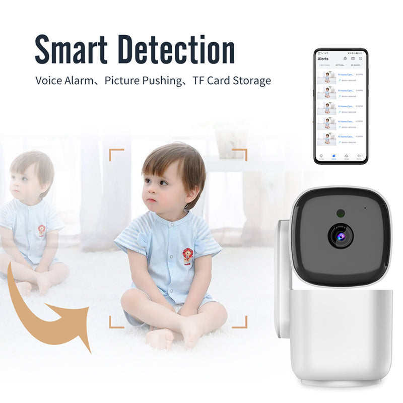 Indoor/Outdoor Pan Tilt Zoom Camera