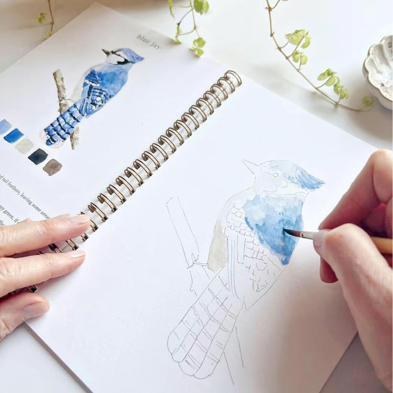 Watercolor Painting Book for Beginners