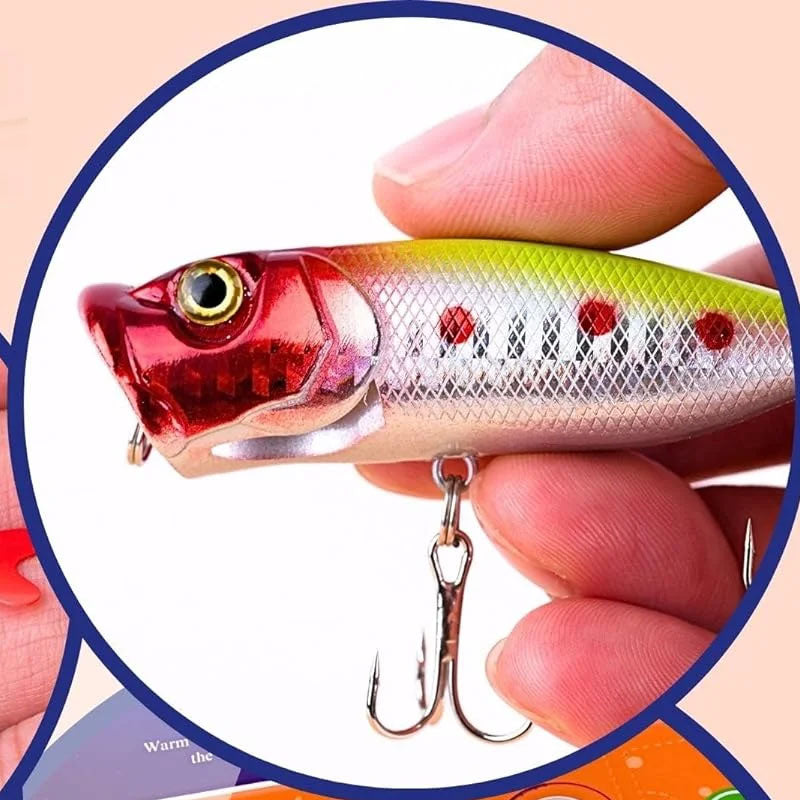 Advent Calendar Fishing Christmas Countdown