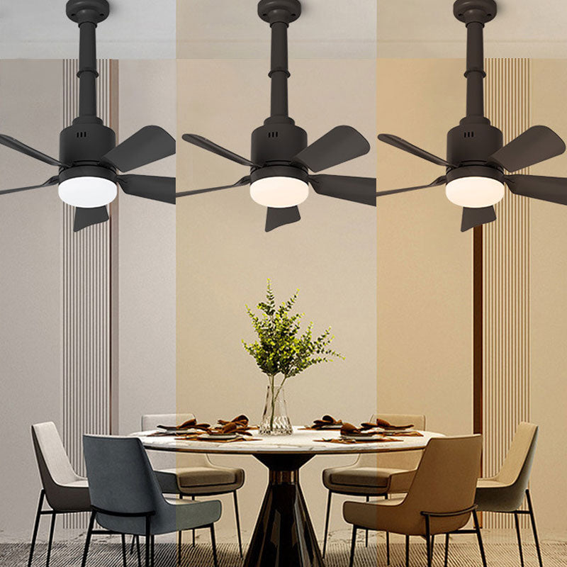 Portable Small Ceiling Fans with Lights