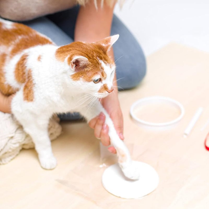 Gjutningssats för tassavtryck av husdjur i lera