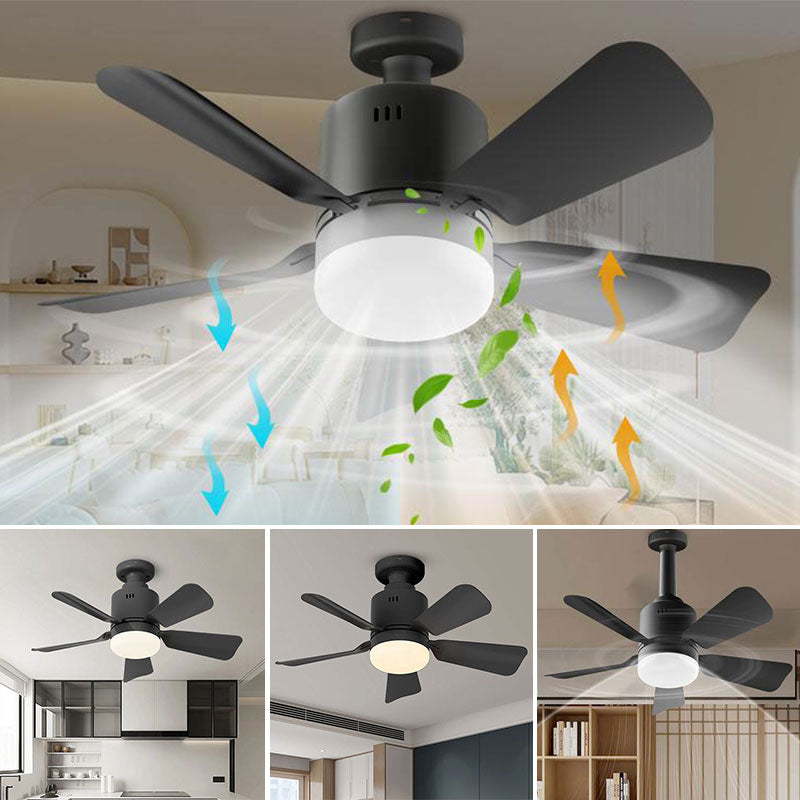 Portable Small Ceiling Fans with Lights