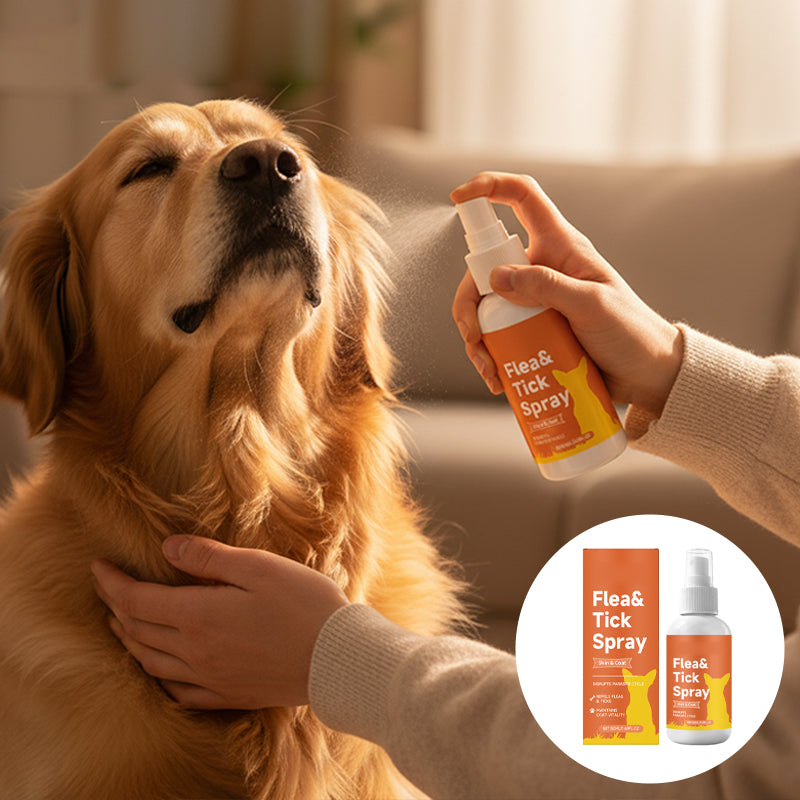 Gentle Dog Skin Care Spray for Indoor & Outdoor Use