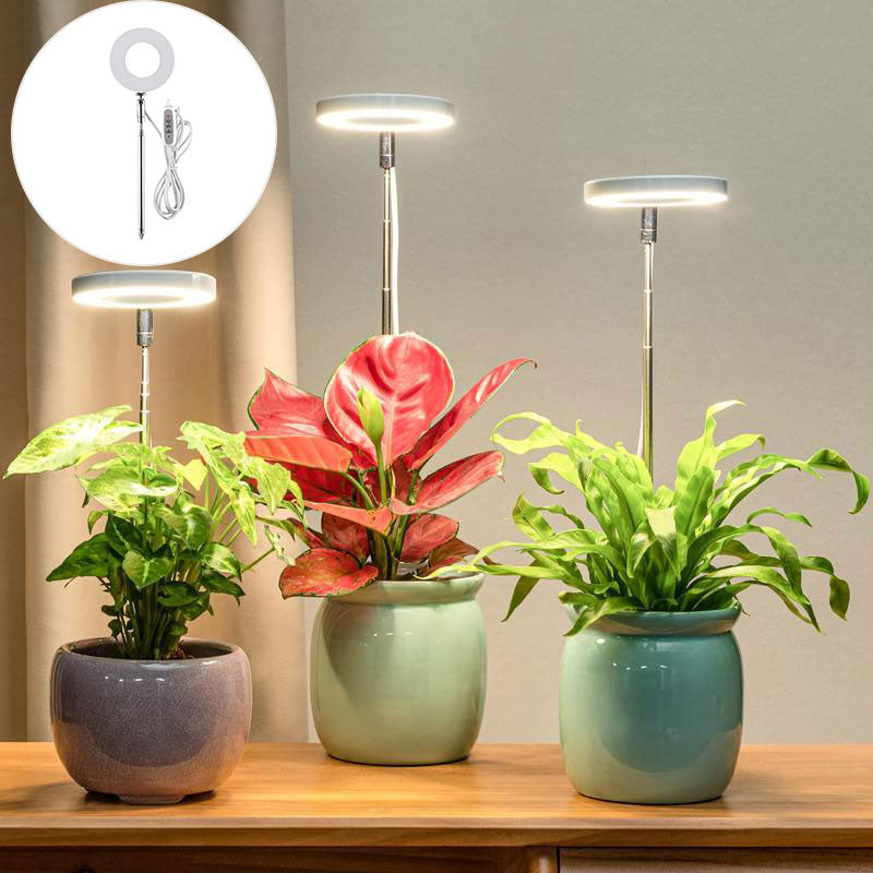 Indoor Plant Growth Light