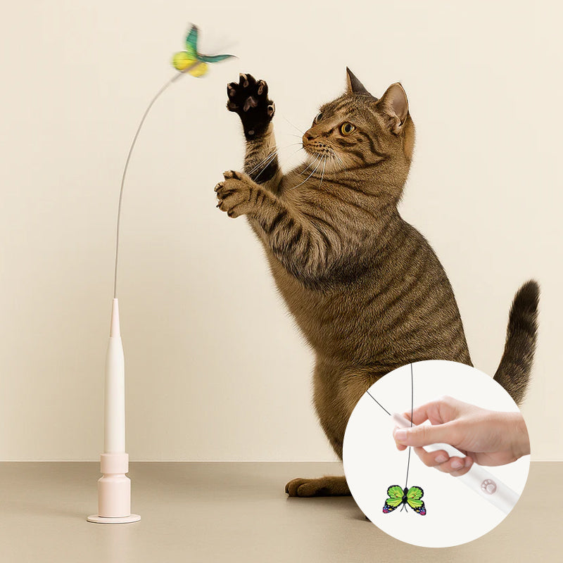 Suction Cup Butterfly Electric Cat Teaser Wand