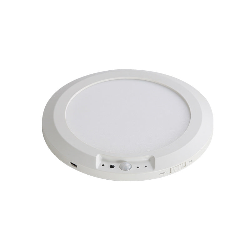 Motion Sensor Ceiling Light