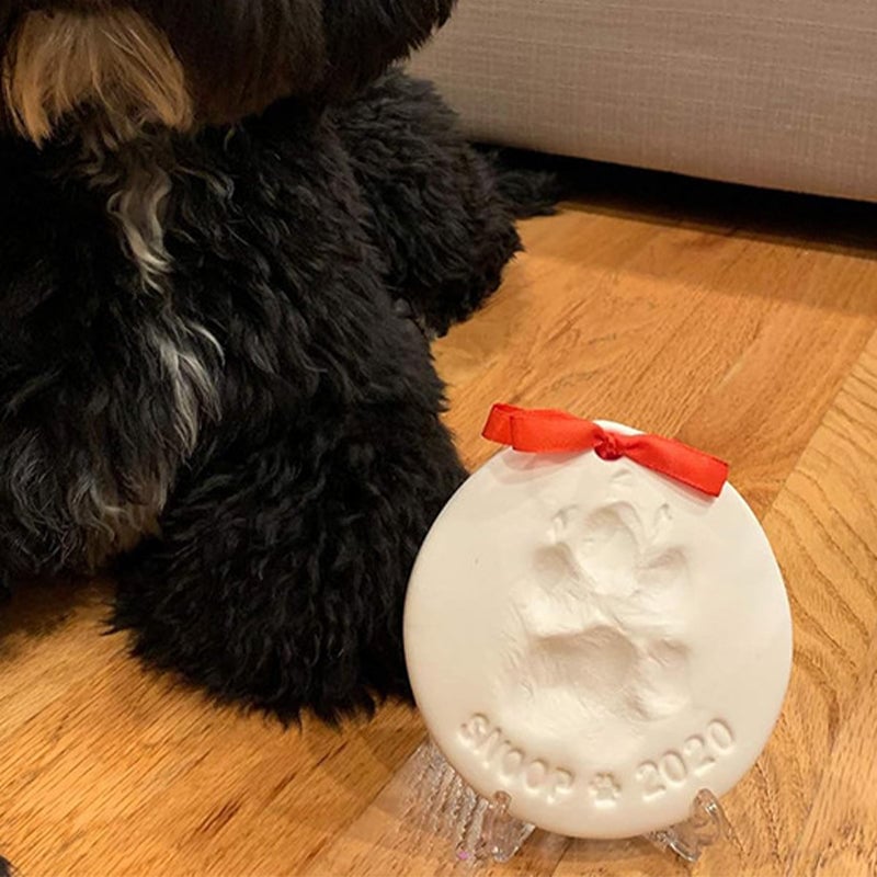 Gjutningssats för tassavtryck av husdjur i lera