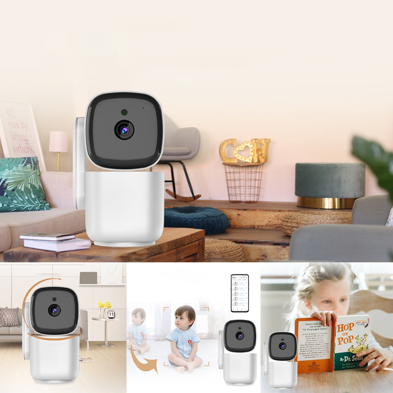 Indoor/Outdoor Pan Tilt Zoom Camera